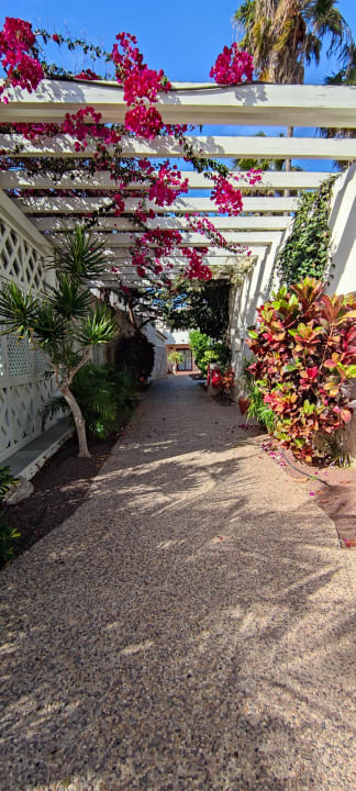 Gartenanlage Alua Suites Fuerteventura