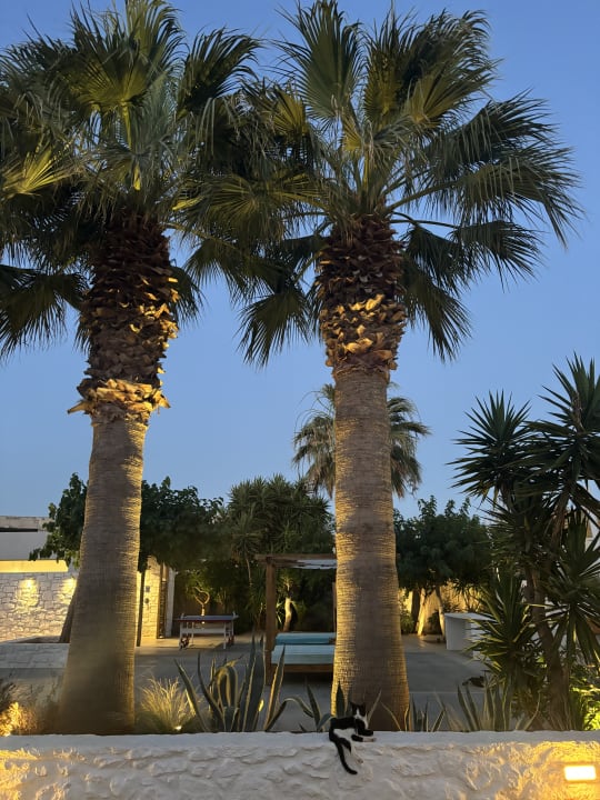 Gartenanlage Paralos Lifestyle Beach