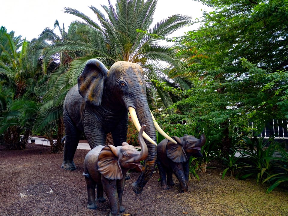 Sonstiges Lopesan Baobab Resort