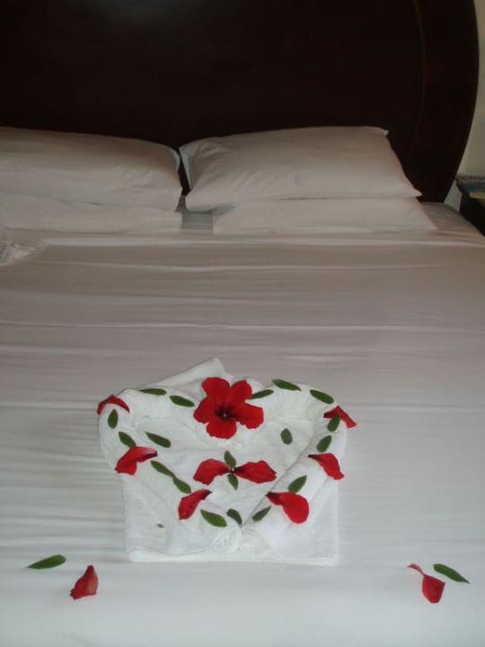 Hotel Stella Makadi Beach Resort Stella Beach Resort & Spa Makadi Bay