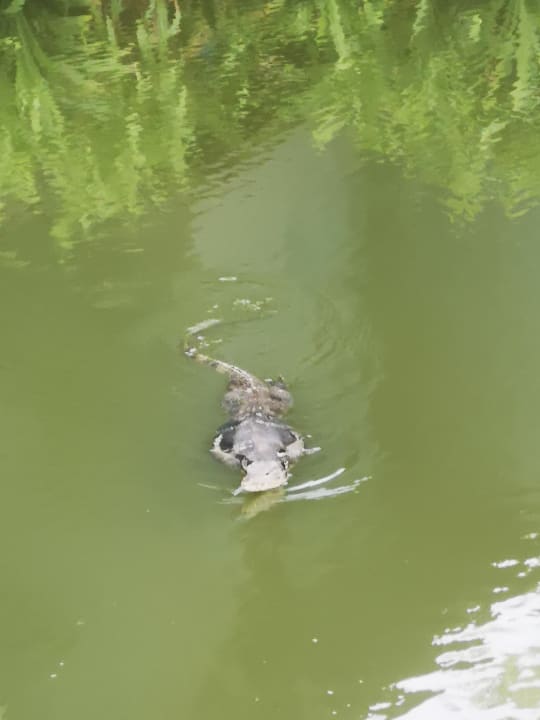 Gartenanlage Peace Laguna Resort and Spa