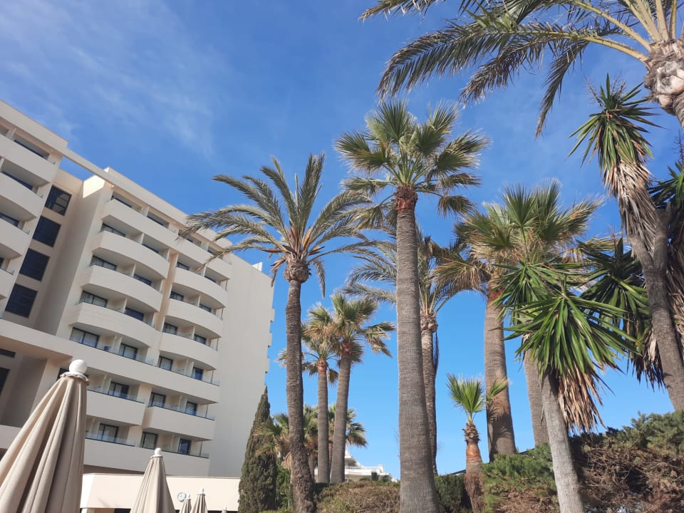 Außenansicht Welikehotel Marfil Playa