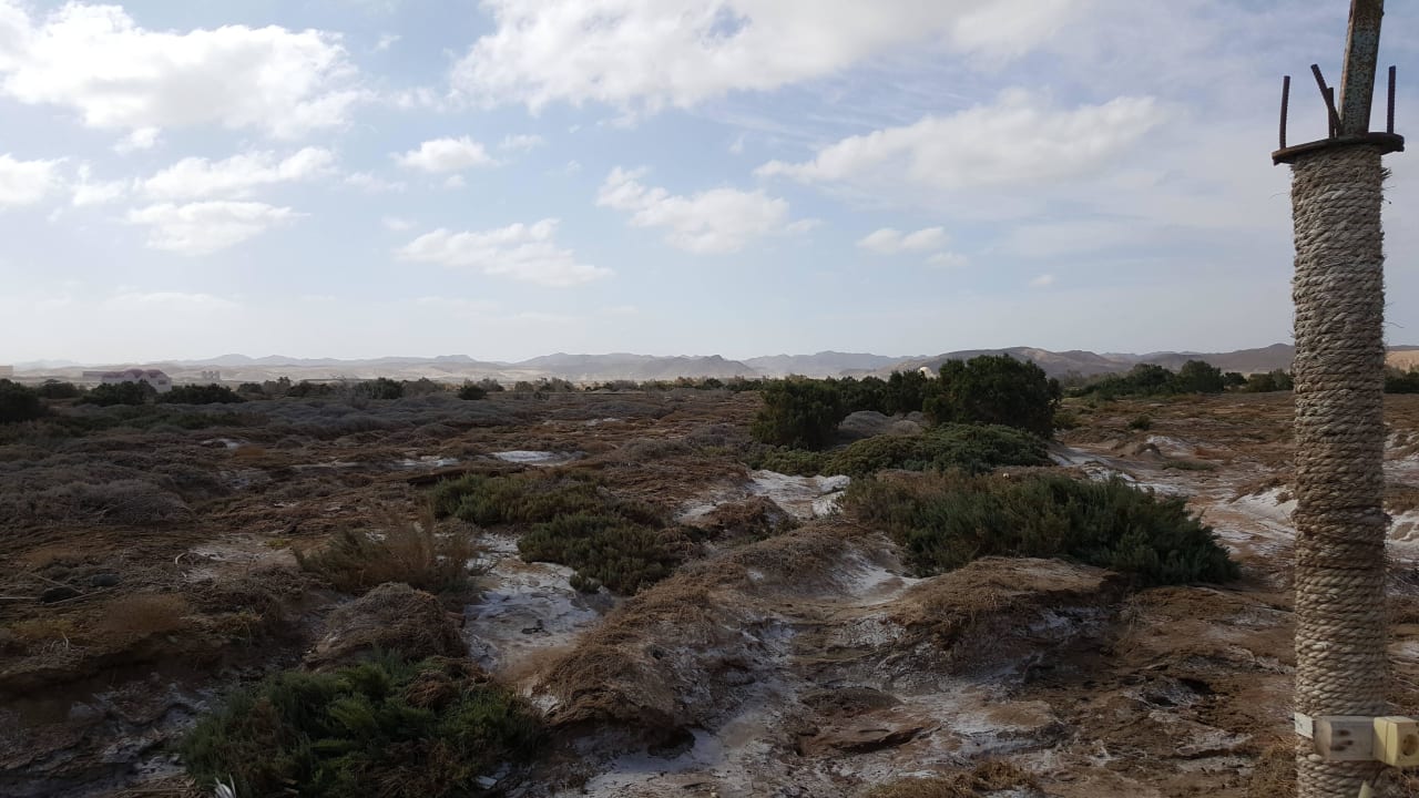 Linkes Wadi Three Corners Equinox Beach Resort