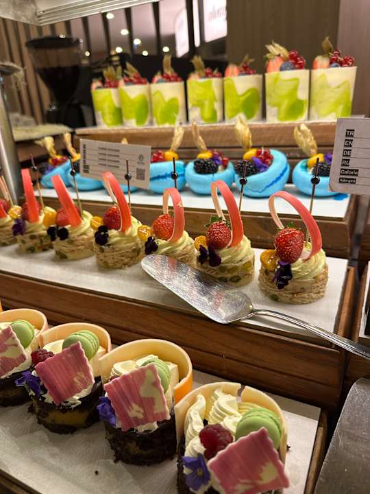 Gastro Delphin BE Grand