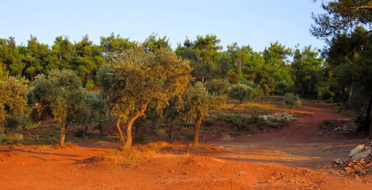 Okolice hotelu Hotel Astris Sun