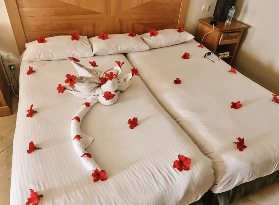 Zimmer Makadi Palace