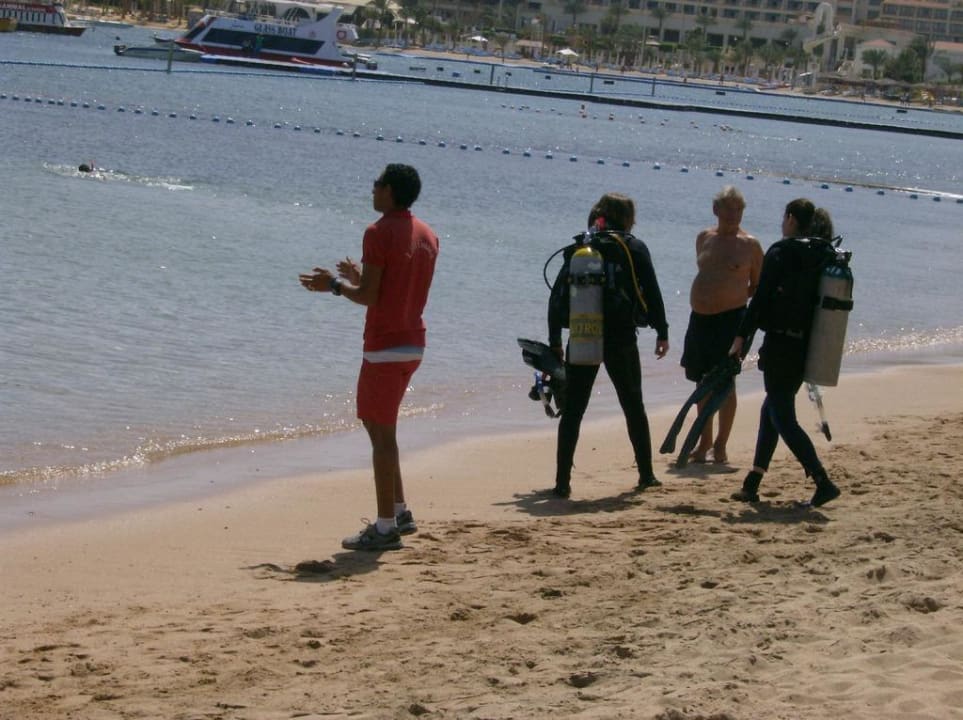 Flachabfallender Sandstrand Ghazala Gardens