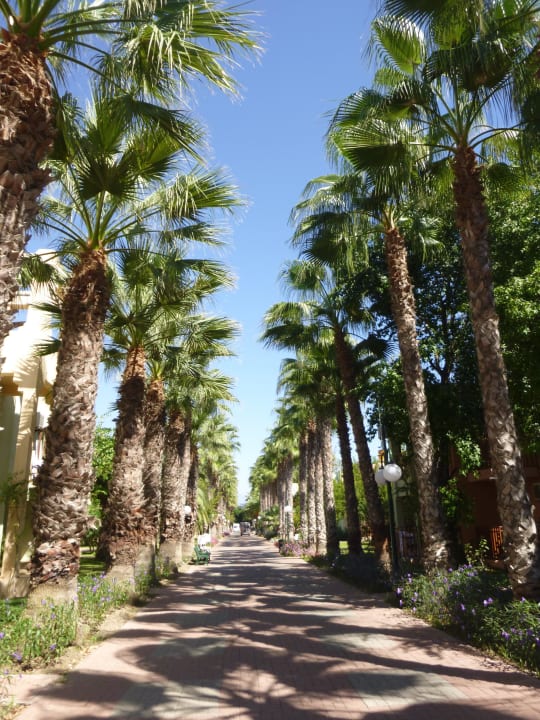 Weg von Appartement zur Reception/Restaurant VONRESORT Golden Beach