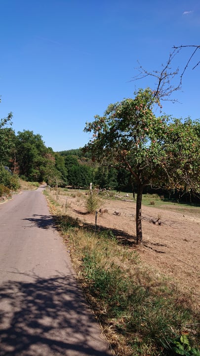 Ausblick Kunoweiherhof