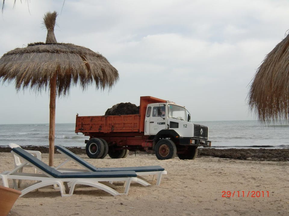 Kampf gegen die Algen Hotel El Mouradi Djerba Menzel