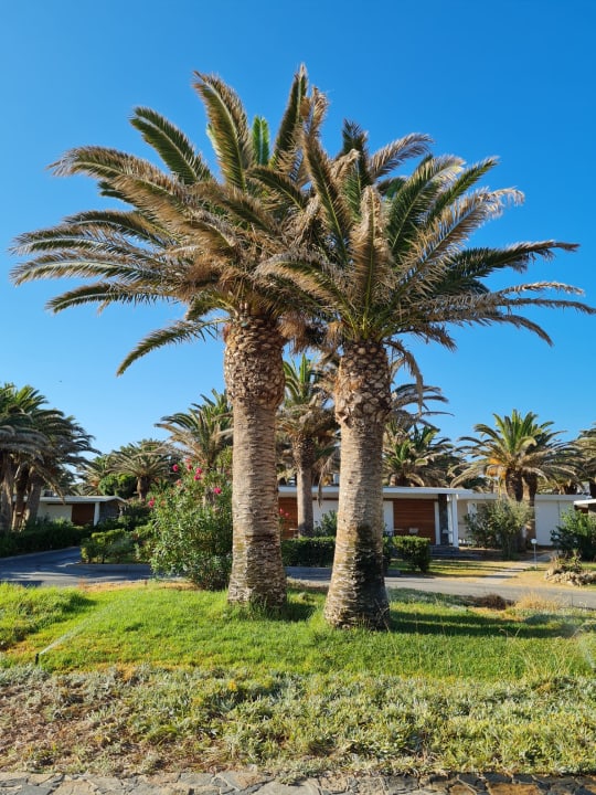 Gartenanlage Civitel Creta Beach