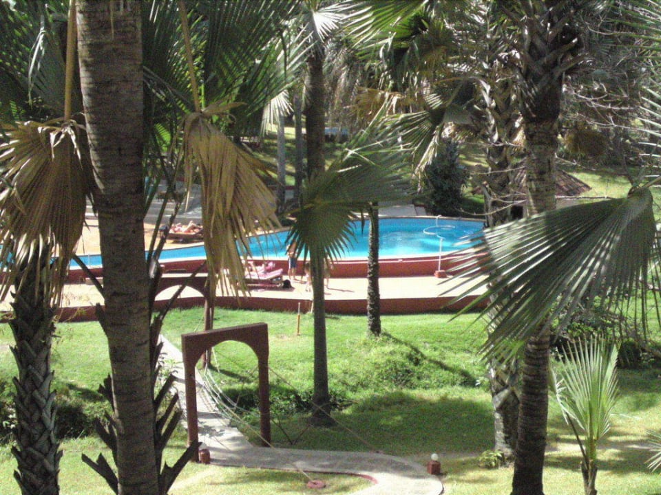 Blick von der Terrasse Hotel Lemon Creek