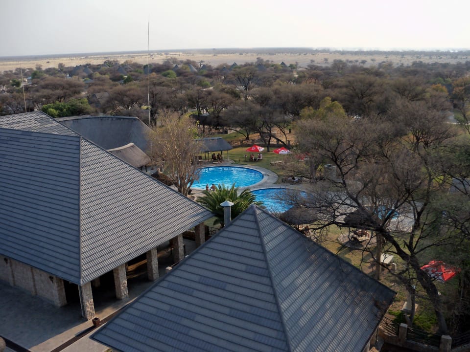 Vom Turm aus den Pool entdeckt ( sehr kalt ) Okaukuejo Camp