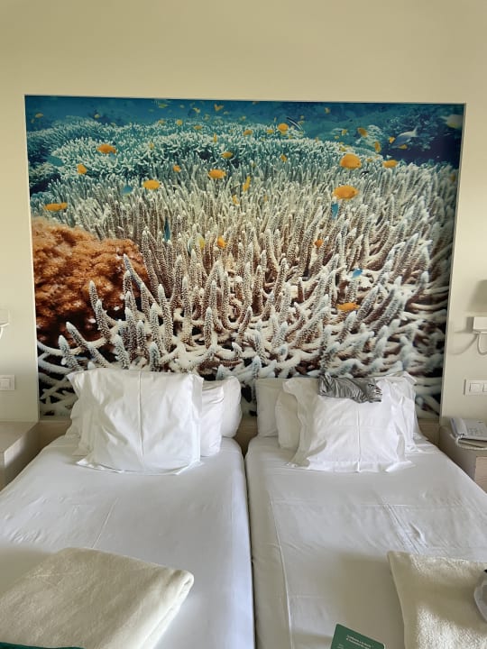 Zimmer Iberostar Selection Fuerteventura Palace