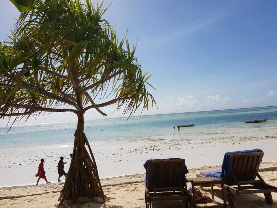 Strand Neptune Pwani Beach Resort & Spa