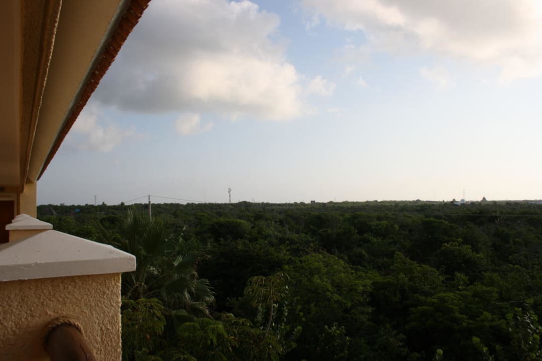 Blick vom zweiten Stock über den Wald Catalonia Royal Tulum Beach & Spa Resort - Adults only