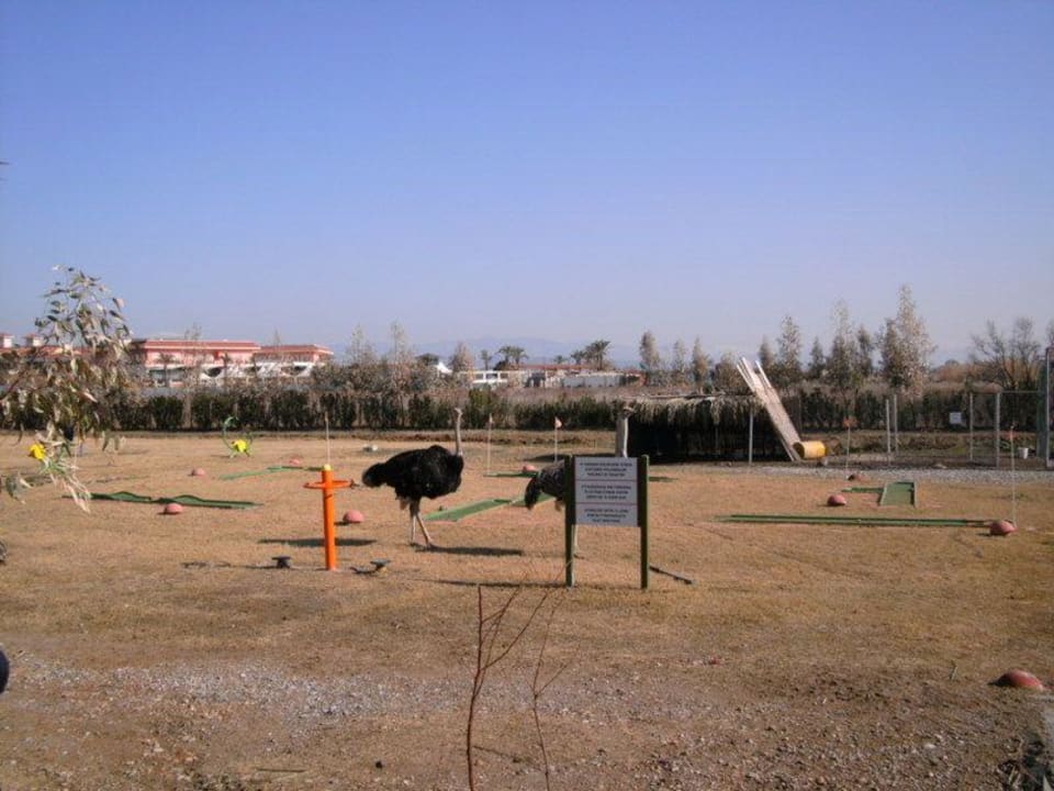 Minigolfplatz Belek Beach Resort Hotel