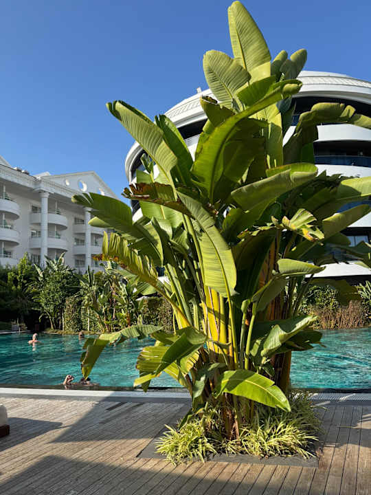 Gartenanlage Liu Resorts