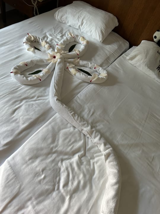 Zimmer Sunis Elita Beach Resort & Spa