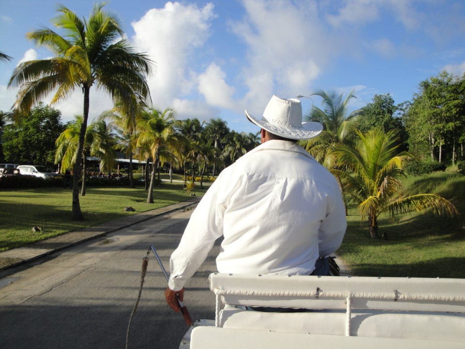 Kutschfahrt Royal Service at Paradisus Río de Oro Resort & Spa