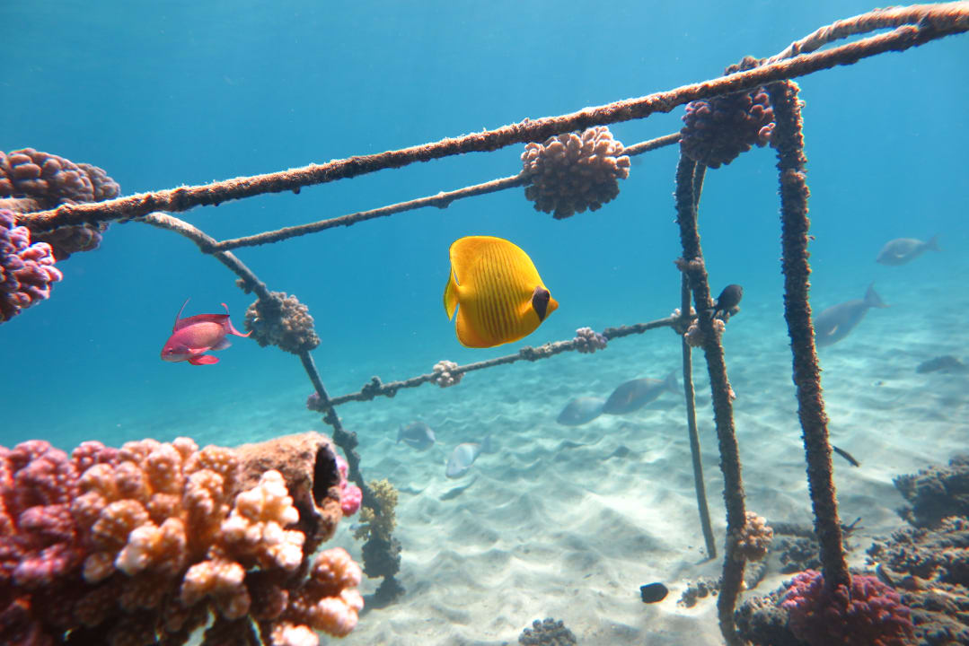 Sport & Freizeit Three Corners Equinox Beach Resort