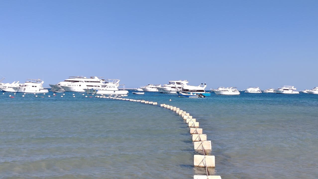 Ausblick Pickalbatros White Beach Resort - Hurghada