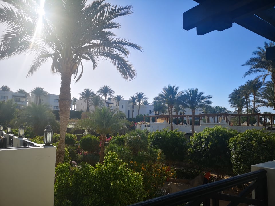 Gartenanlage Sharm Plaza