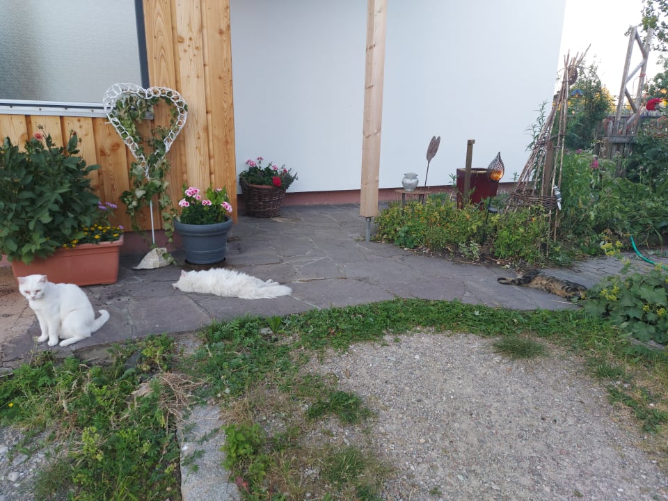 Außenansicht Biobauernhof Fritz