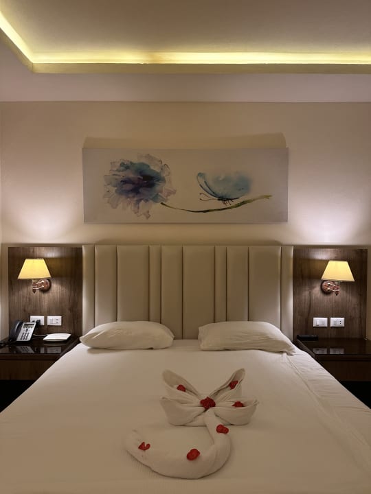 Zimmer Pickalbatros Citadel Resort