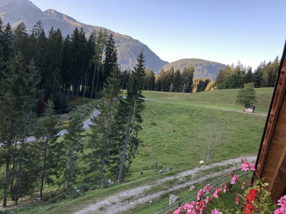 Ausblick Chalets Almidylle