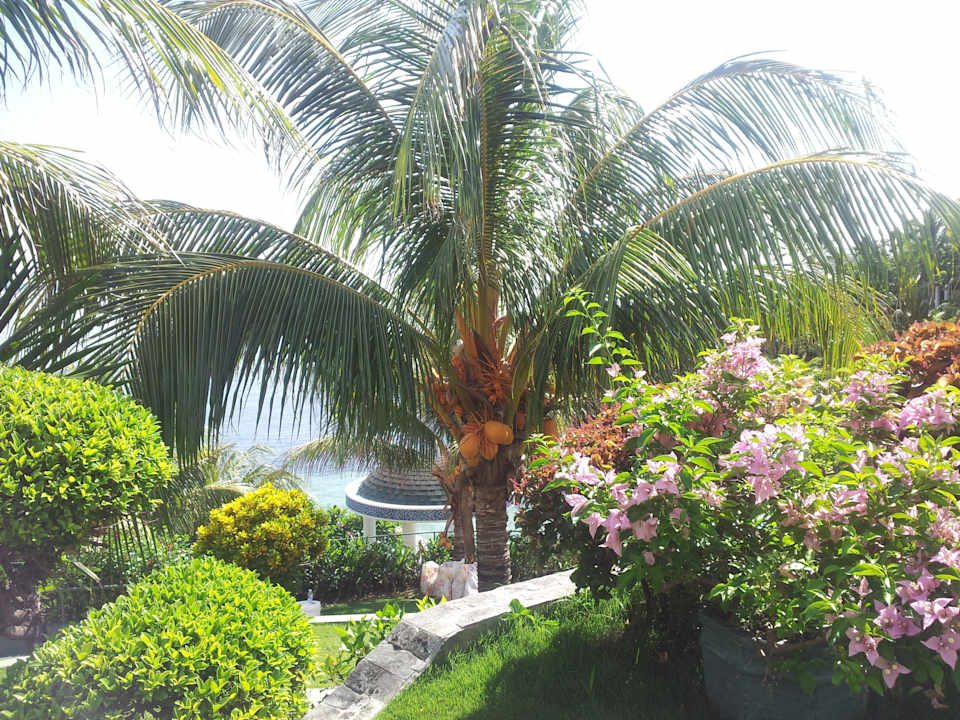 Früchte so weit das Auge reicht Monaco Suites de Boracay Hotel