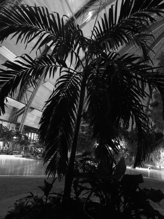 Pool Tropical Islands Resort