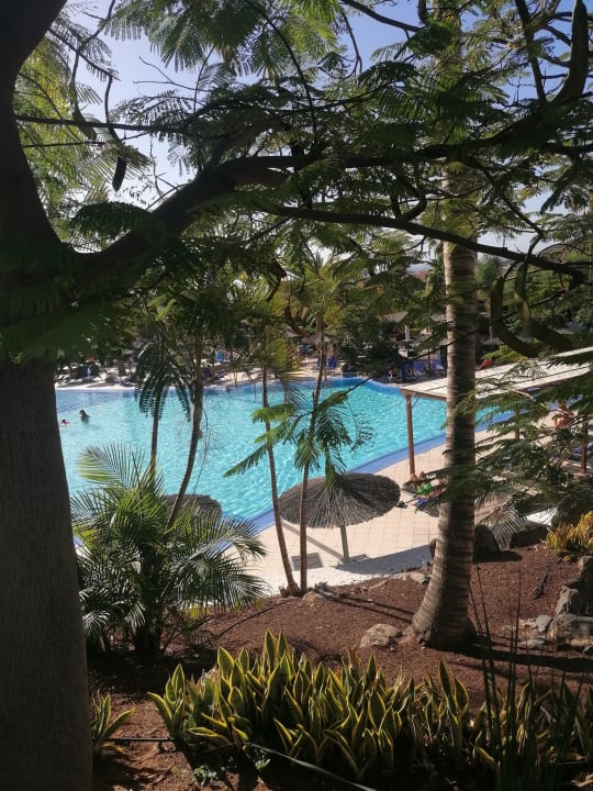 Ausblick allsun App.-Hotel Esquinzo Beach