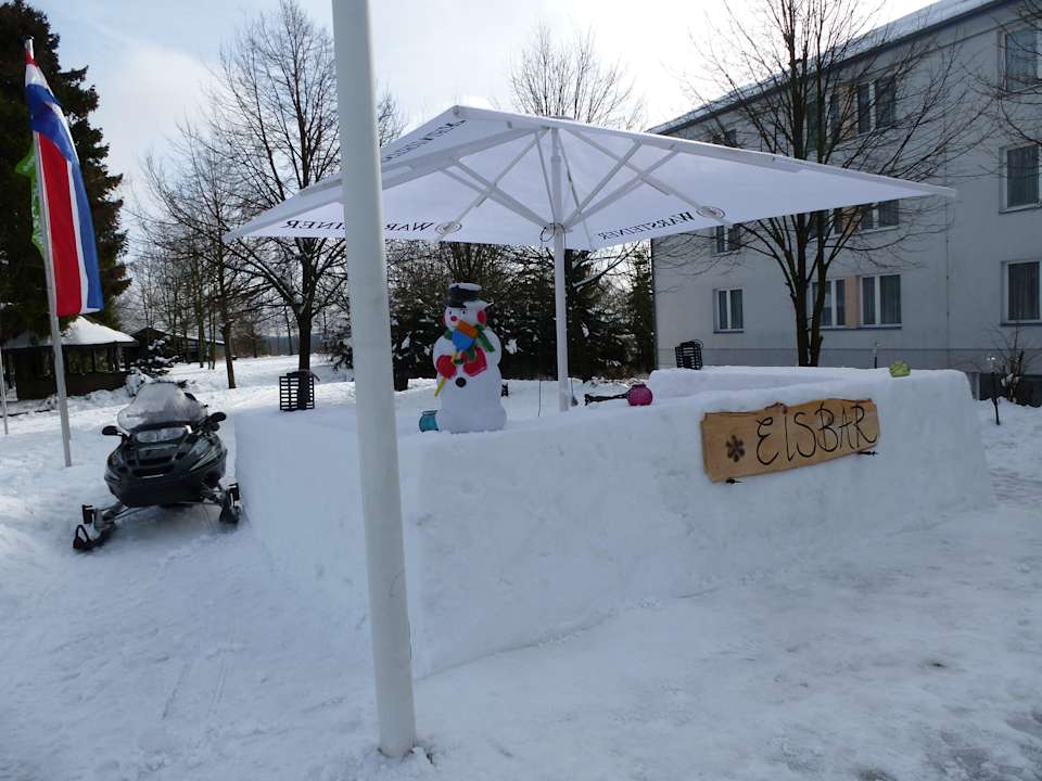 Eisbar mit Motorschlitten Hotel Wartburg