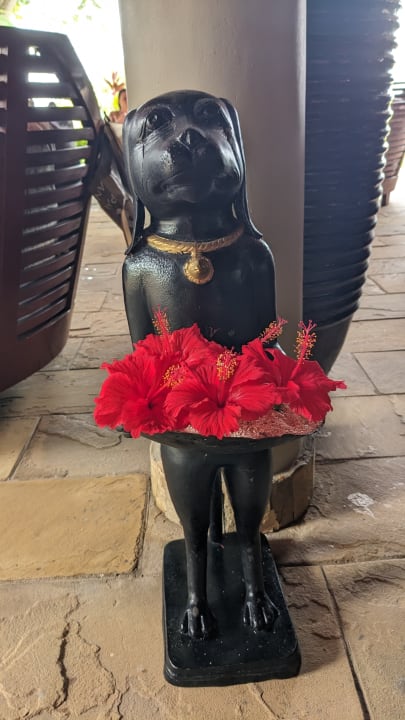 Sonstiges Hotel Riu Palace Zanzibar