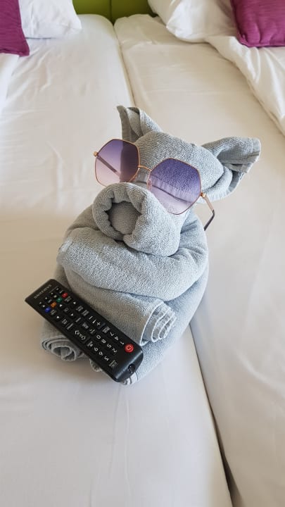 Zimmer GRIFID Vistamar