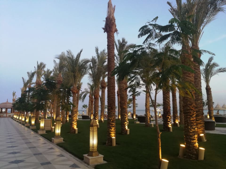 Gartenanlage Siva Grand Marina