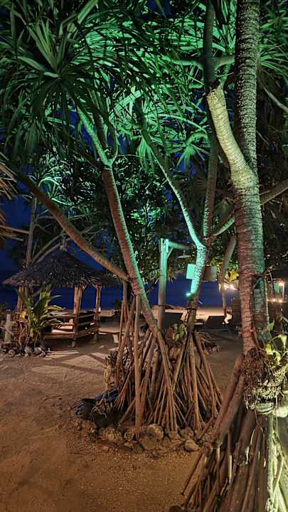 Außenansicht The Lazy Lodge