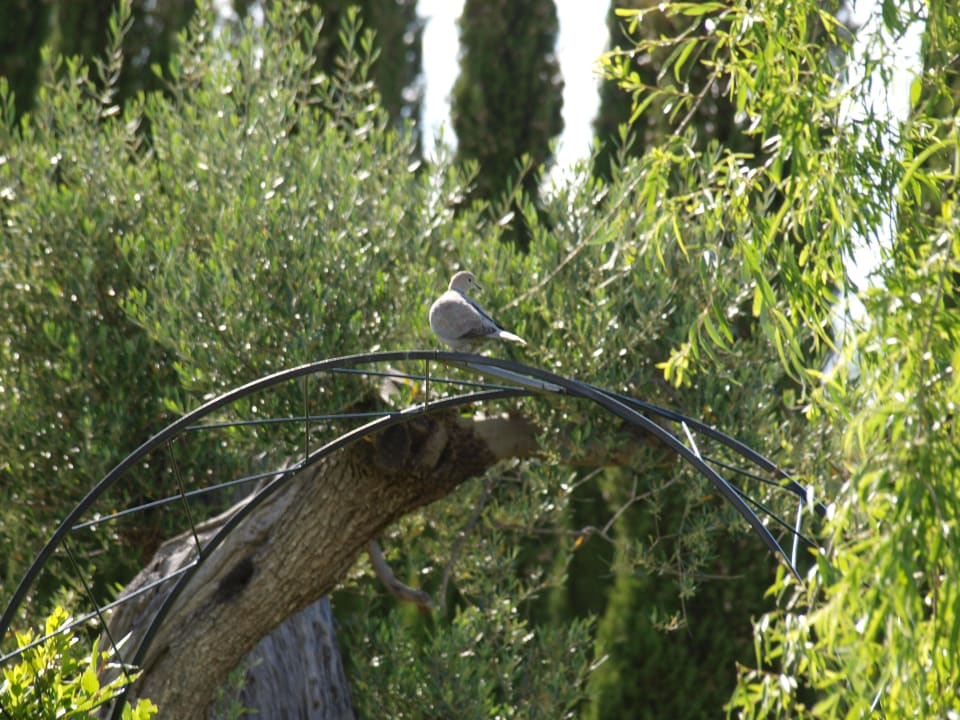 Garten Agriturismo Podere del Vescovo