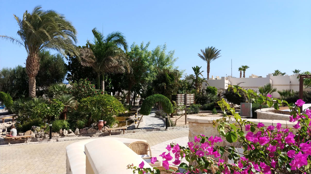 Ausblick Coral Beach Hurghada