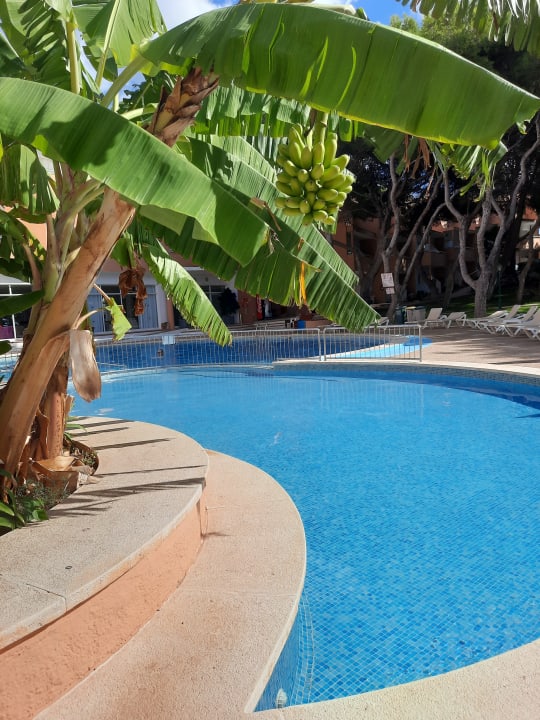 Pool Hotel Xaloc Playa