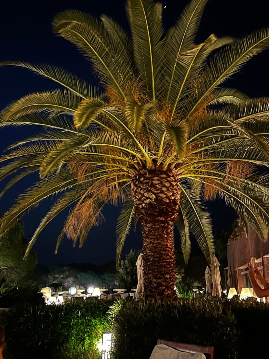 Ausblick Xanadu Resort Hotel