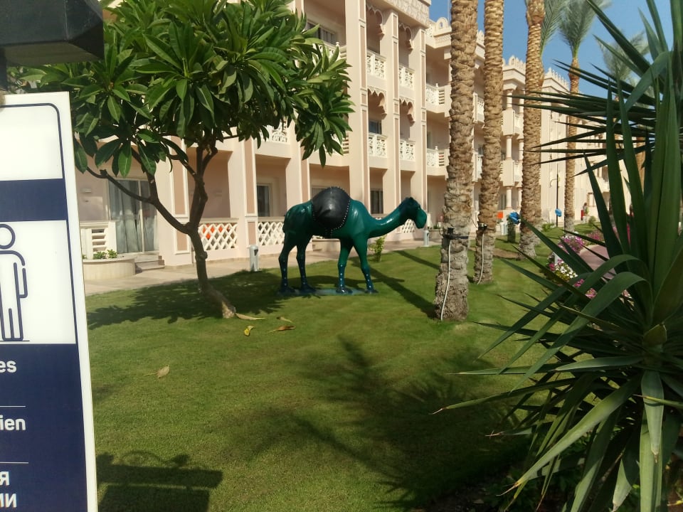 Gartenanlage Pickalbatros Palace Resort