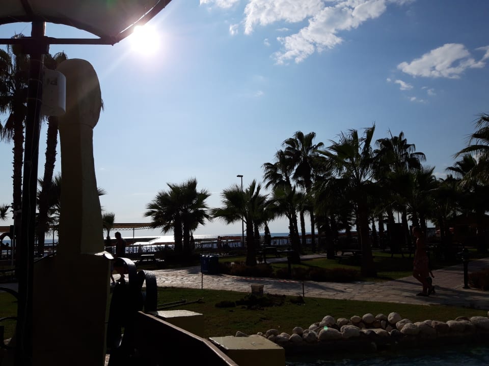 Ausblick Kamelya Aishen Club