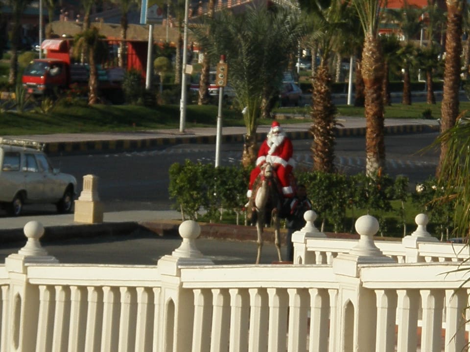 Ankunft des Weihnachtsmanns Pickalbatros Palace Resort