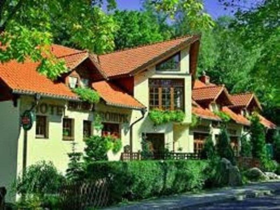 Oasis of Tranquility and Relaxation Hotel Promyk