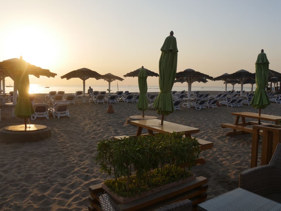 Strand Fujairah Rotana Resort & Spa