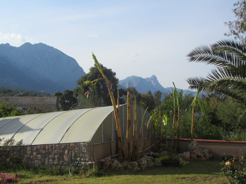 Otium Gül Beach Resort Armas Gül Beach