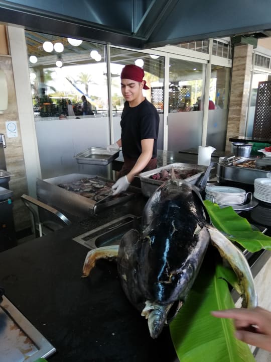 Sonstiges Crystal Paraiso Verde