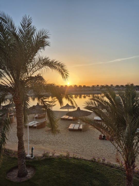 Außenansicht Desert Rose